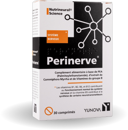 Perinerve